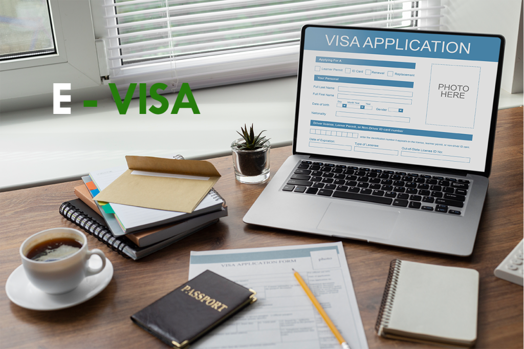 e - visa application portal