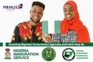 Government_Agencies_Nigeria_Firmus_Advisory
