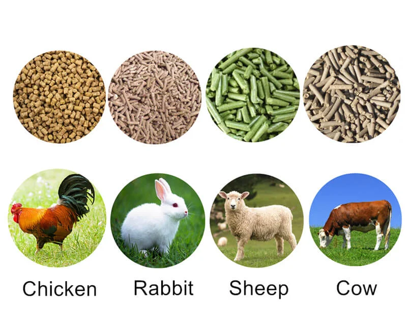 an image of rearing animals and their feed NAFDAC labelling requirements for animal feed